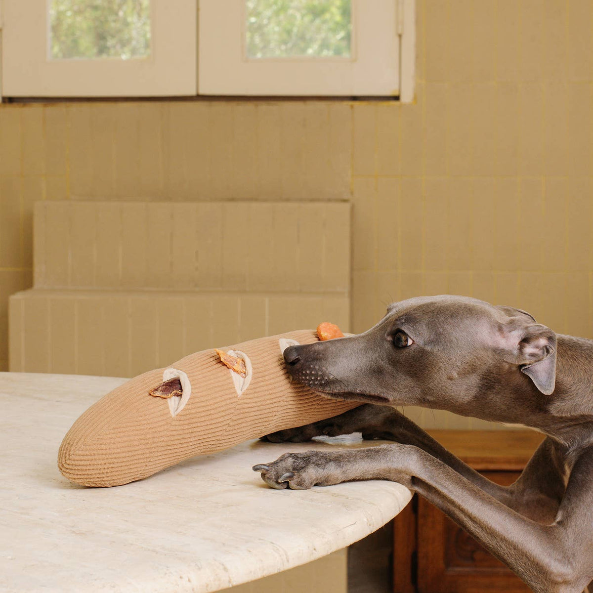 Jouet pour chien baguette d'enrichissement interactif CHEWFFON