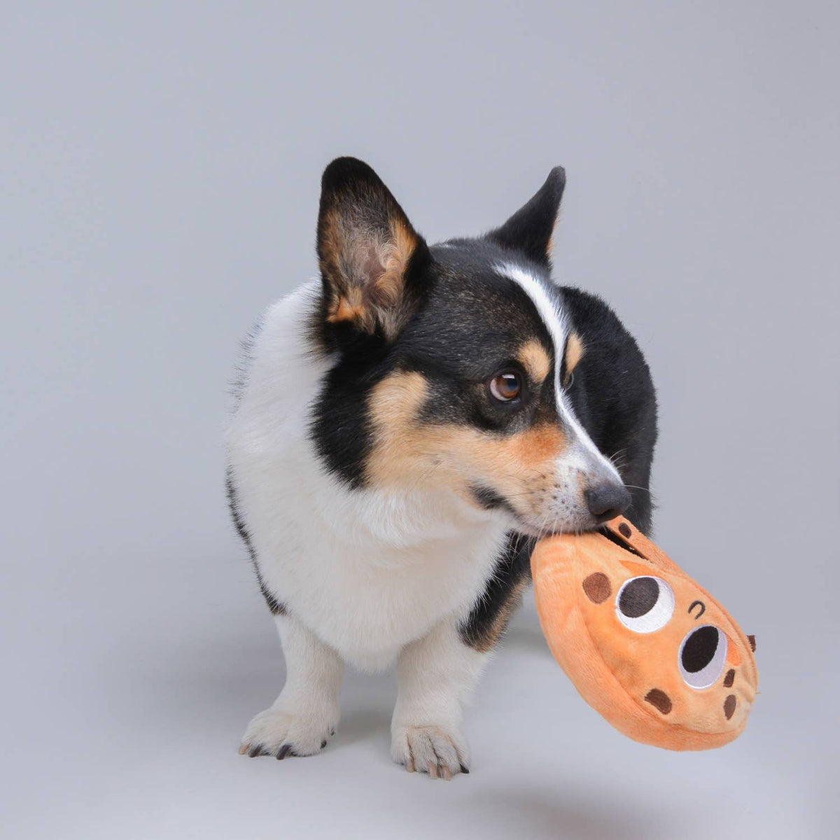 Jouet pour chien à friandises et puzzle doux en forme de biscuit de vacances CHEWFFON