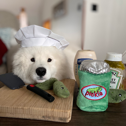 Jouet pour chien cache-cache pot de cornichons CHEWFFON