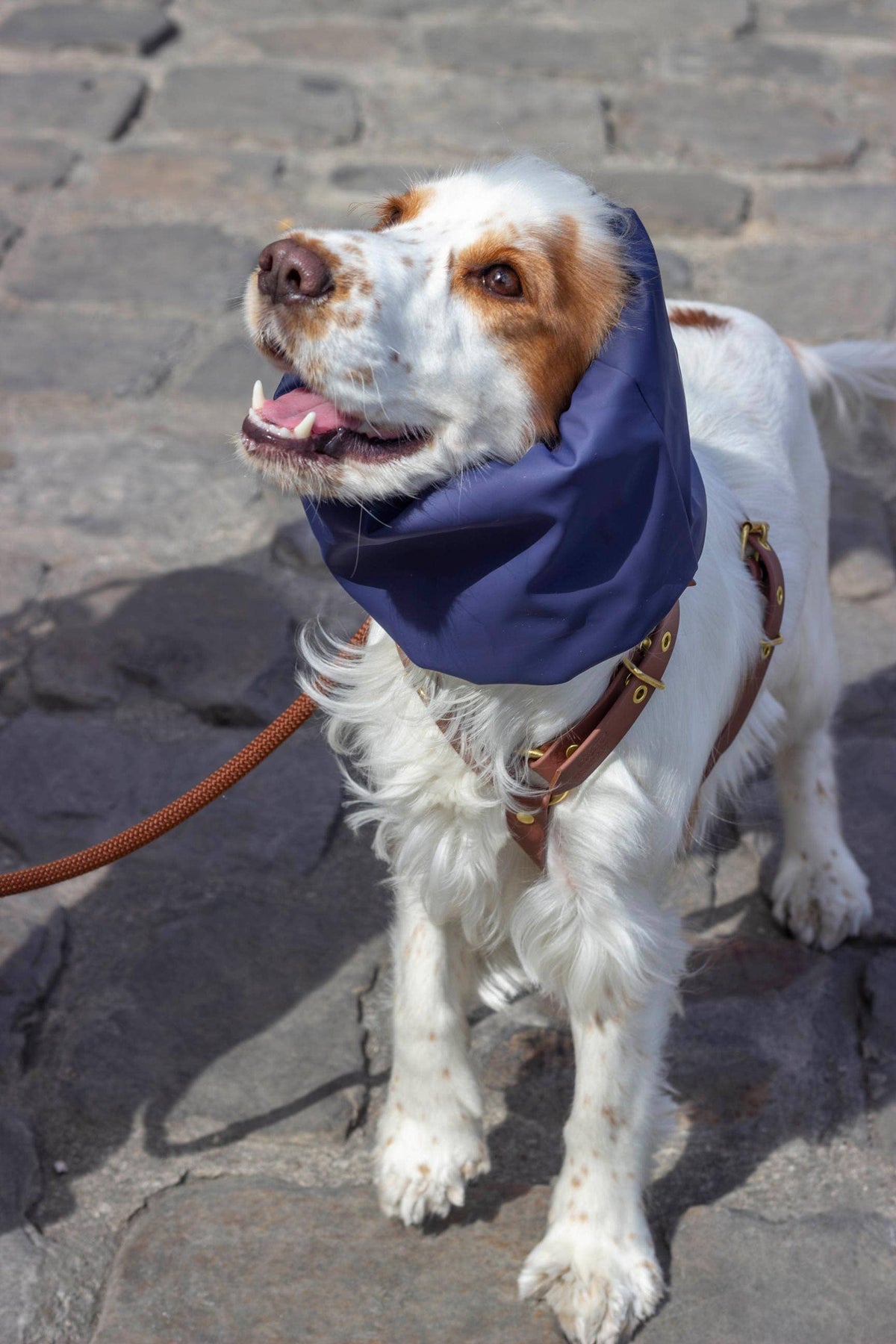 Snood imperméable et réversible Skye