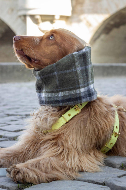Snood imperméable et réversible Harris