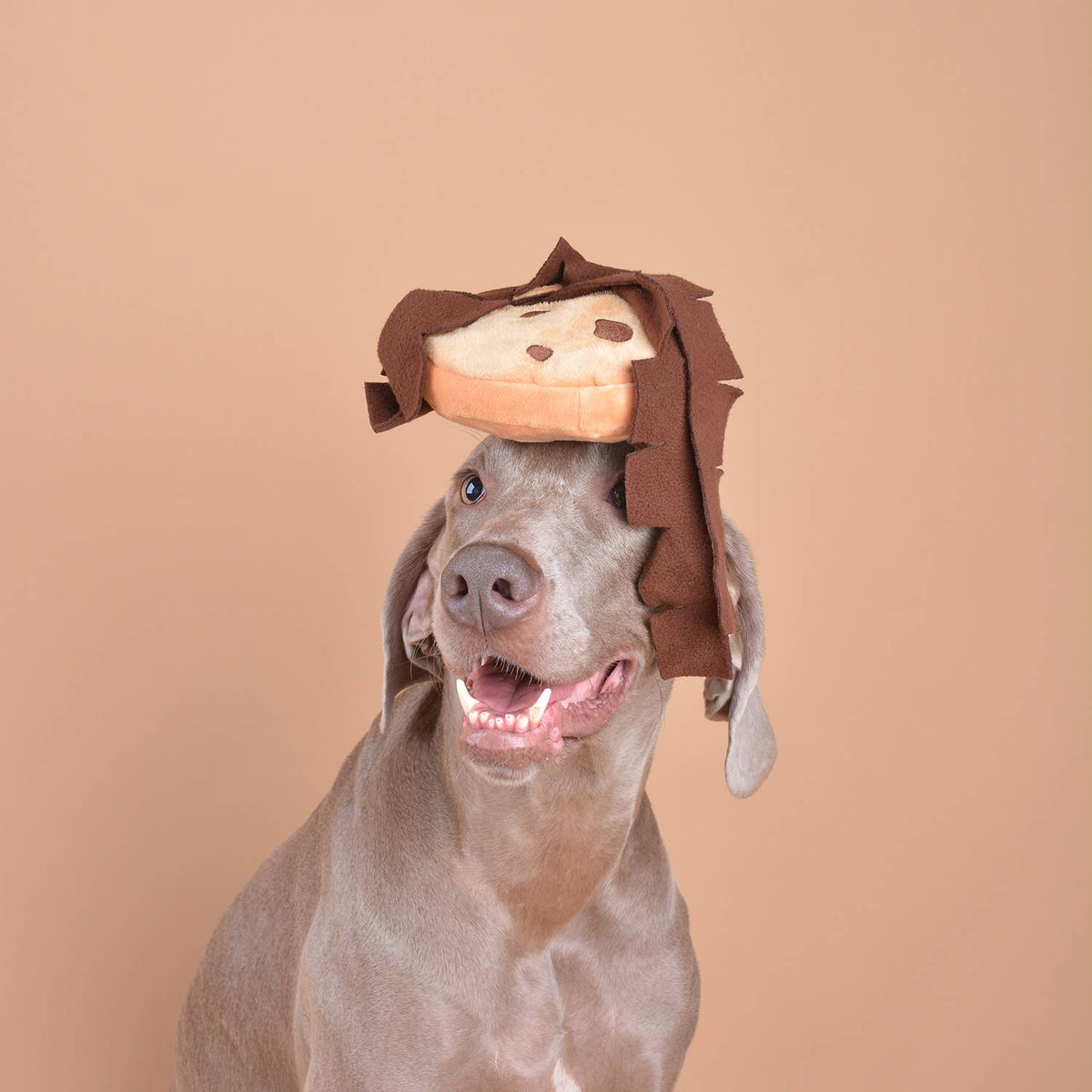 Jouet pour chien à friandises et puzzle doux en forme de biscuit de vacances CHEWFFON