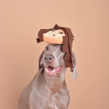 Jouet pour chien à friandises et puzzle doux en forme de biscuit de vacances CHEWFFON