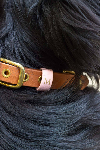 Collier imperméable Sauge