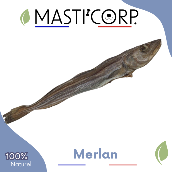 Merlan Sauvage - Mastication Naturelle Chien Friandise