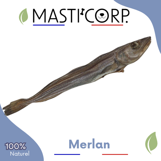 Merlan Sauvage - Mastication Naturelle Chien Friandise