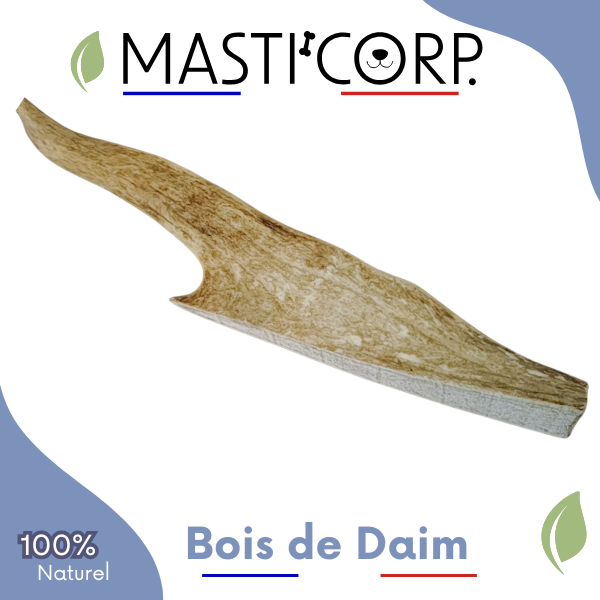 Bois de Daim - Mue Sauvage - Mastication Chien - Naturel