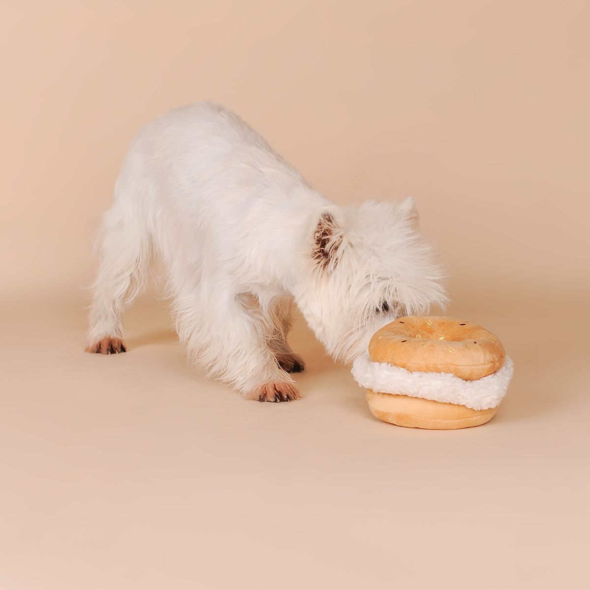 Jouet pour chien en peluche en forme de bagel CHEWFFON avec pouic-pouic
