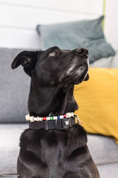 Collier Anti-tiques en cuir - XS à XL