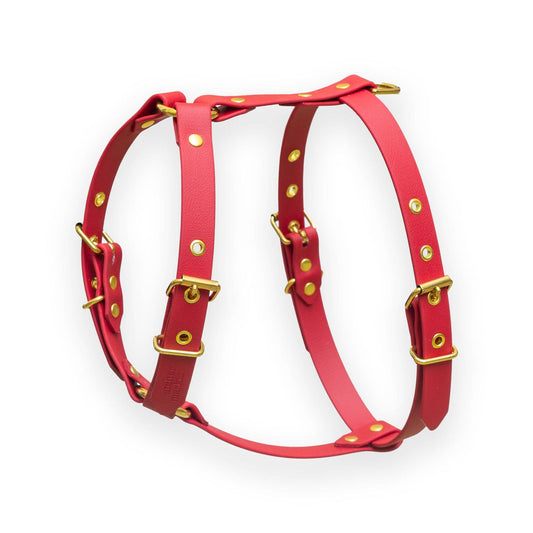 Harnais Cherry