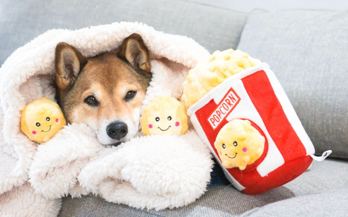 Zippy Burrow - Seau à pop-corn - Jouet pour chien