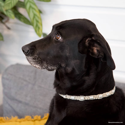 Collier Anti-tiques en chanvre - XS à XL