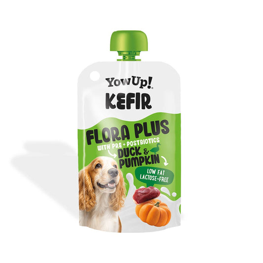 Yaourt kéfir pour chiens, courge & canard (pack de 10)