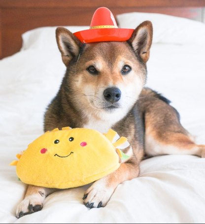 NomNomz® - Jouet chien en peluche taco