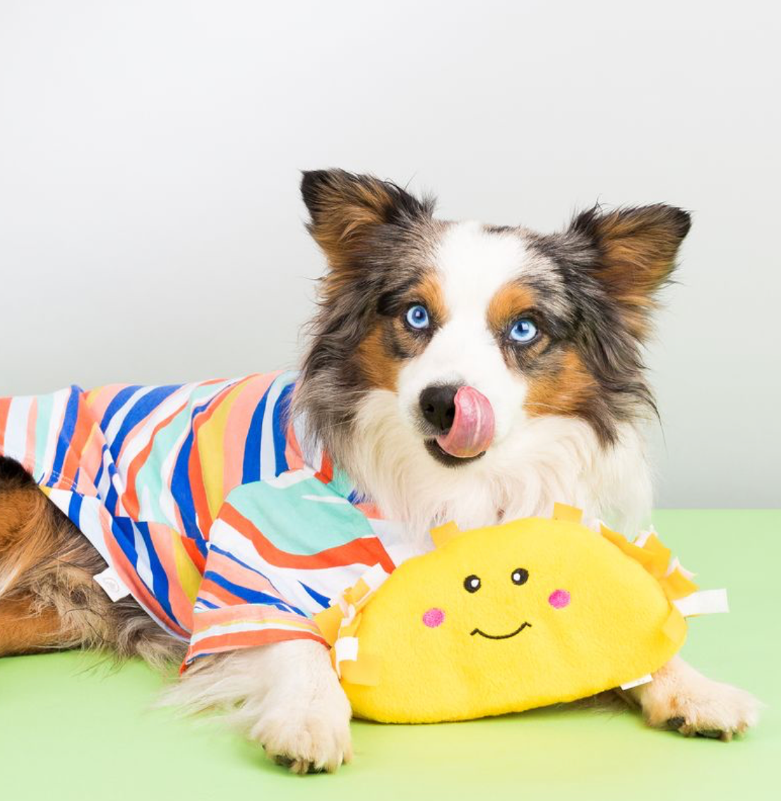 NomNomz® - Jouet chien en peluche taco