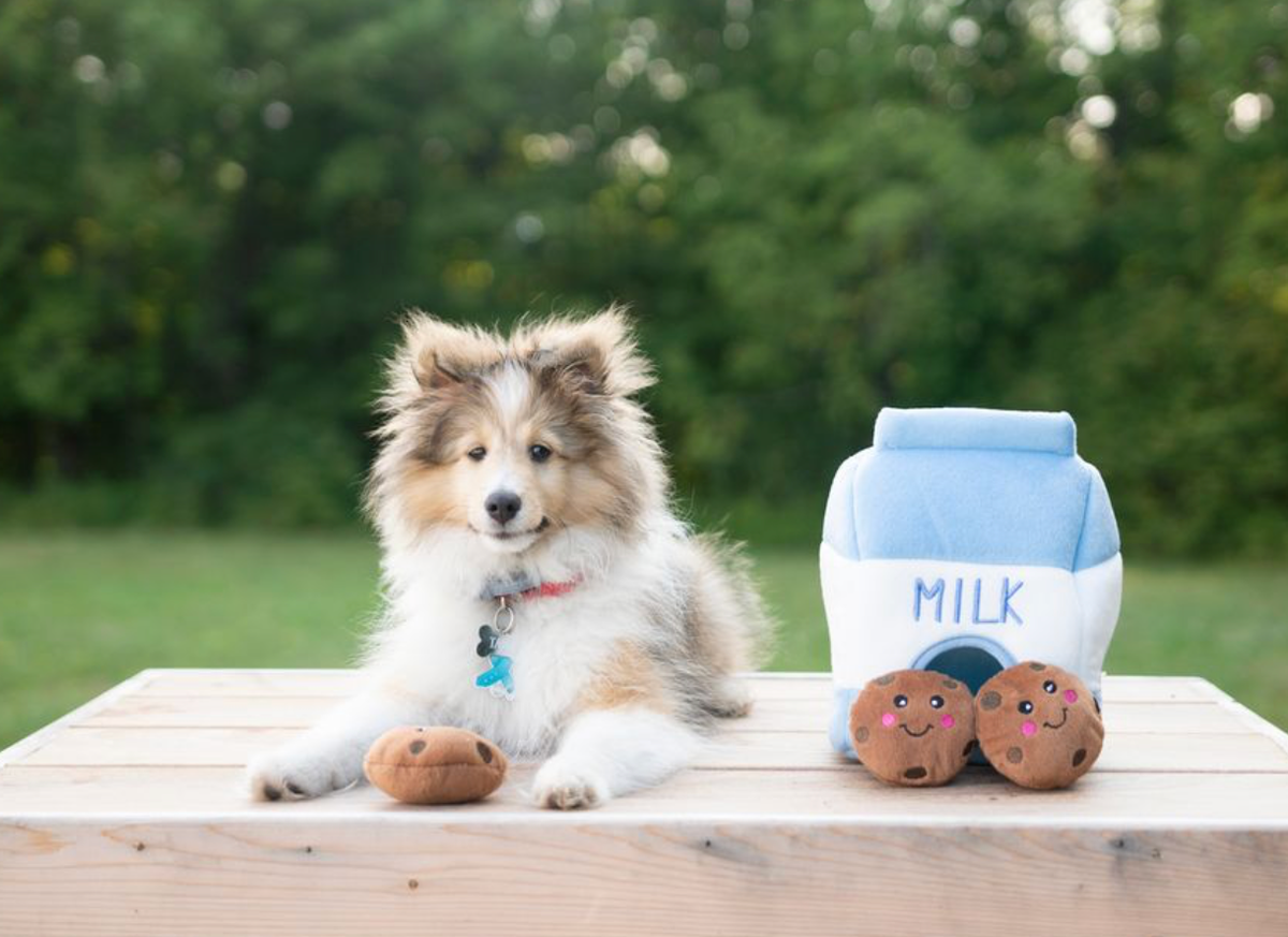 Zippy Burrow - Lait et biscuits - Jouet pour chien