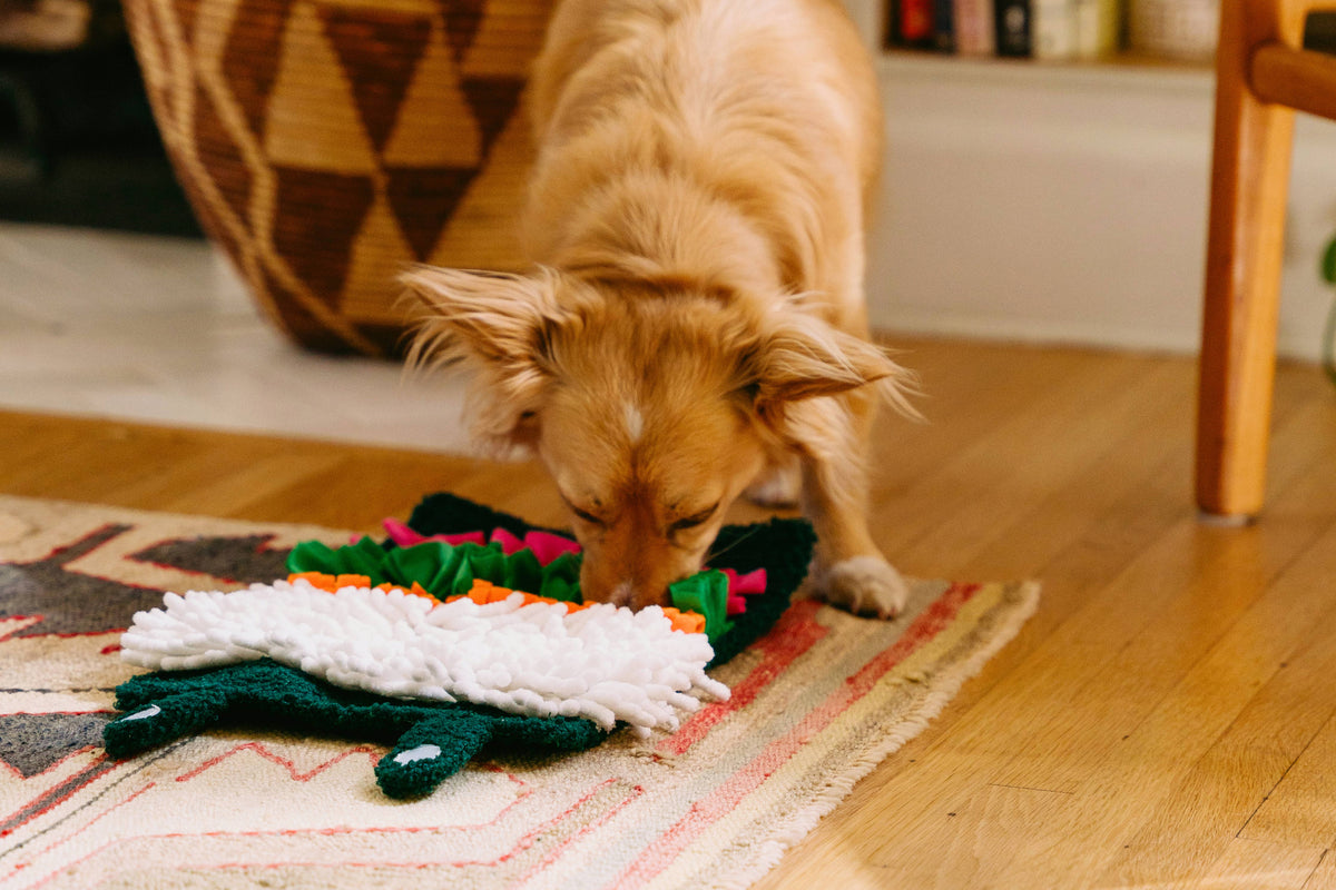 Snufflerz Roll - Sushi - Jouet interactif pour chien