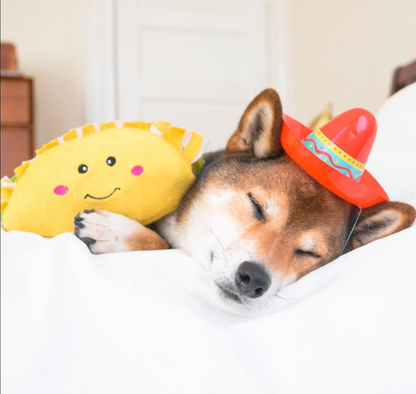 NomNomz® - Jouet chien en peluche taco