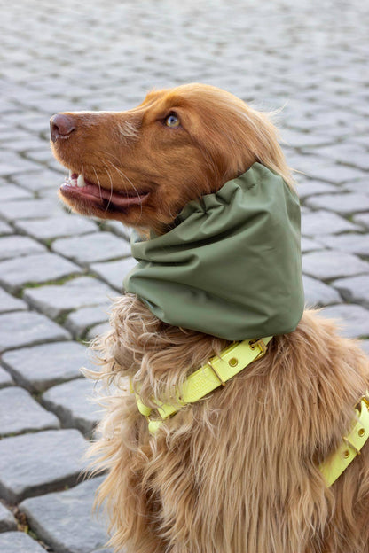 Snood imperméable et réversible Harris