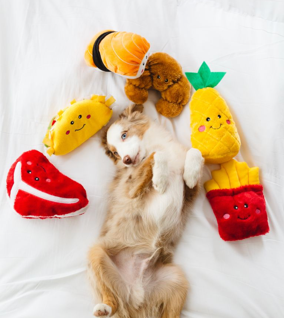 NomNomz® - Jouet chien en peluche taco