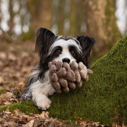 Jouet pour chien à renifler et couiner en forme de pomme de pin CHEWFFON