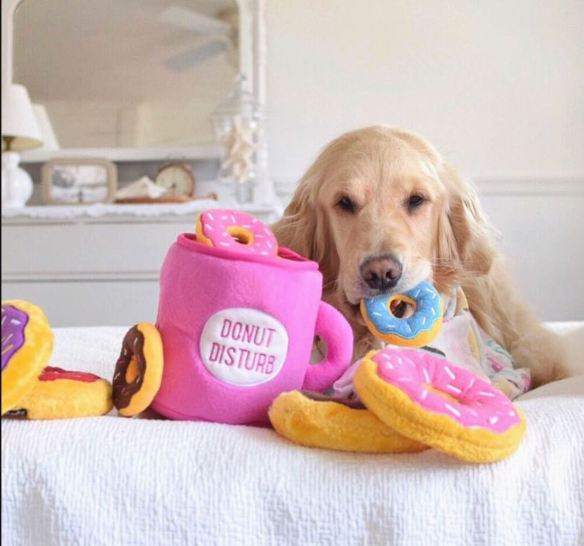Zippy Burrow - Tasse de café et beignets - Jouet pour chien