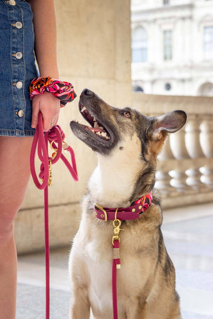 Collier Java