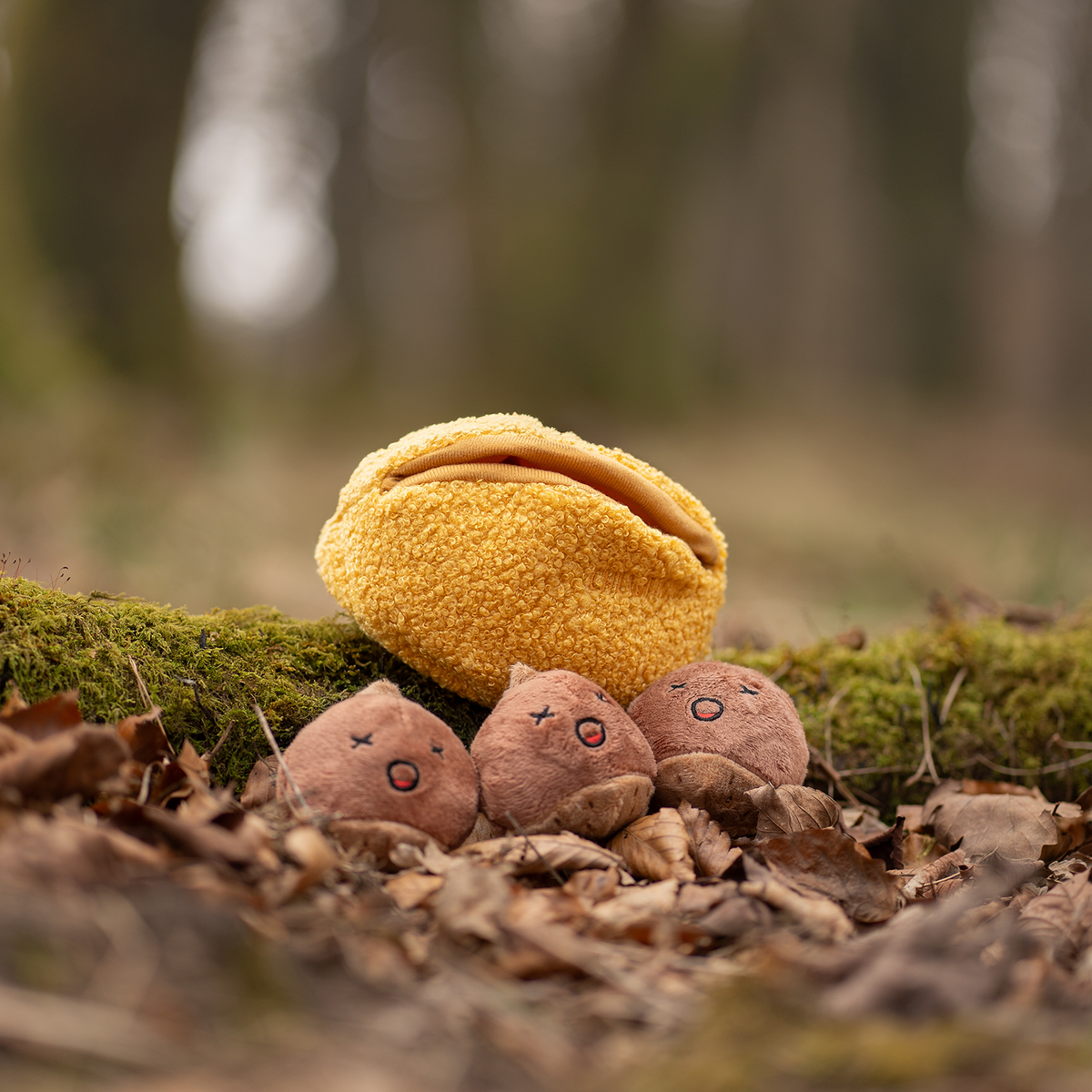 Jouet pour chien à cache-cache avec couinement CHEWFFON Marron Châtaigne
