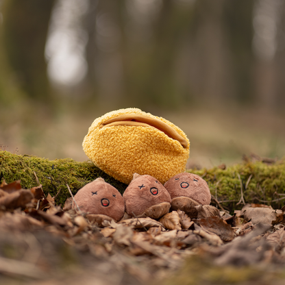 Jouet pour chien à cache-cache avec couinement CHEWFFON Marron Châtaigne