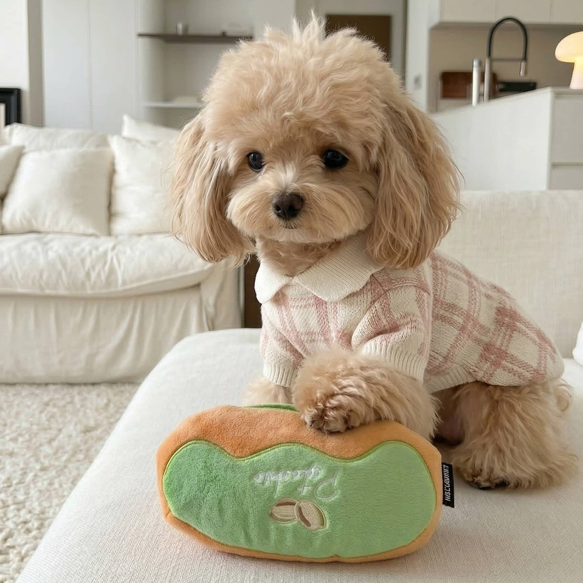 Jouet pour chien CHEWFFON Pistache Éclair — reniflage et froissement