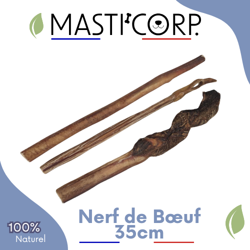 Nerf De Boeuf - 30cm - Friandise mastication chien