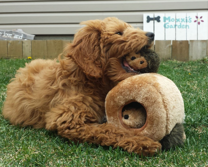 Zippy Burrow - Hedgehog Den - Jouet pour chien