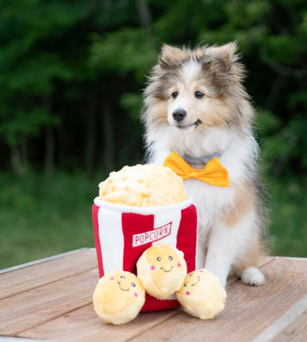 Zippy Burrow - Seau à pop-corn - Jouet pour chien