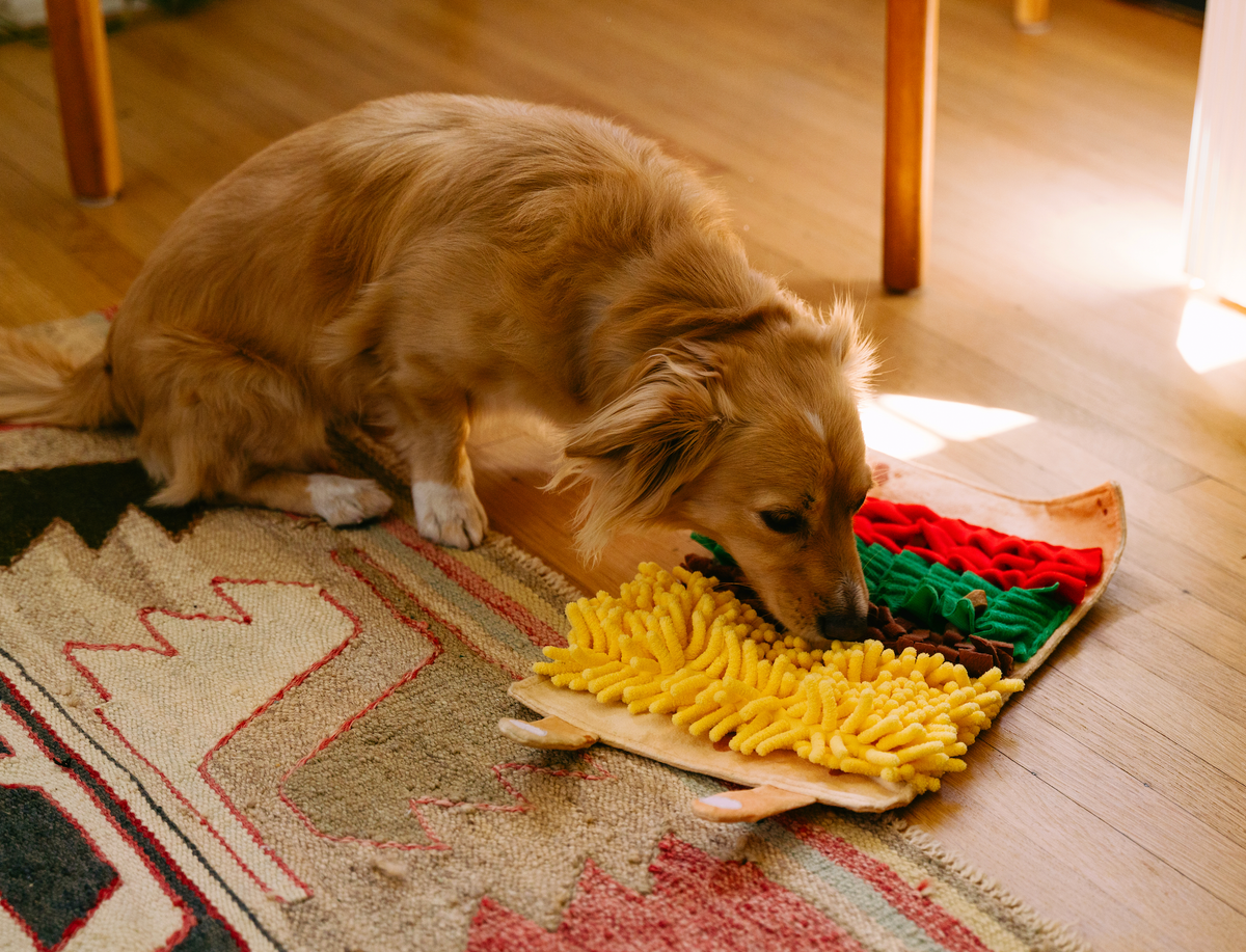 Snufflerz Roll - Burrito - Jouet interactif pour chien