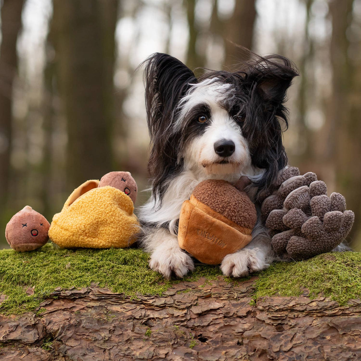 Jouet pour chien à renifler et couiner en forme de pomme de pin CHEWFFON
