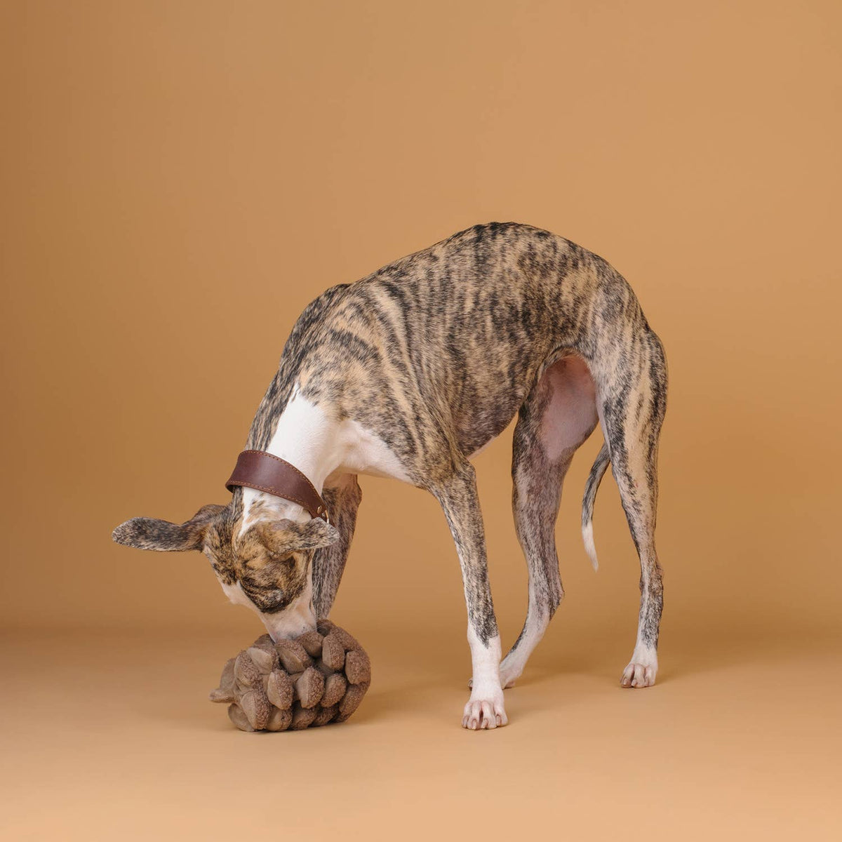 Jouet pour chien à renifler et couiner en forme de pomme de pin CHEWFFON