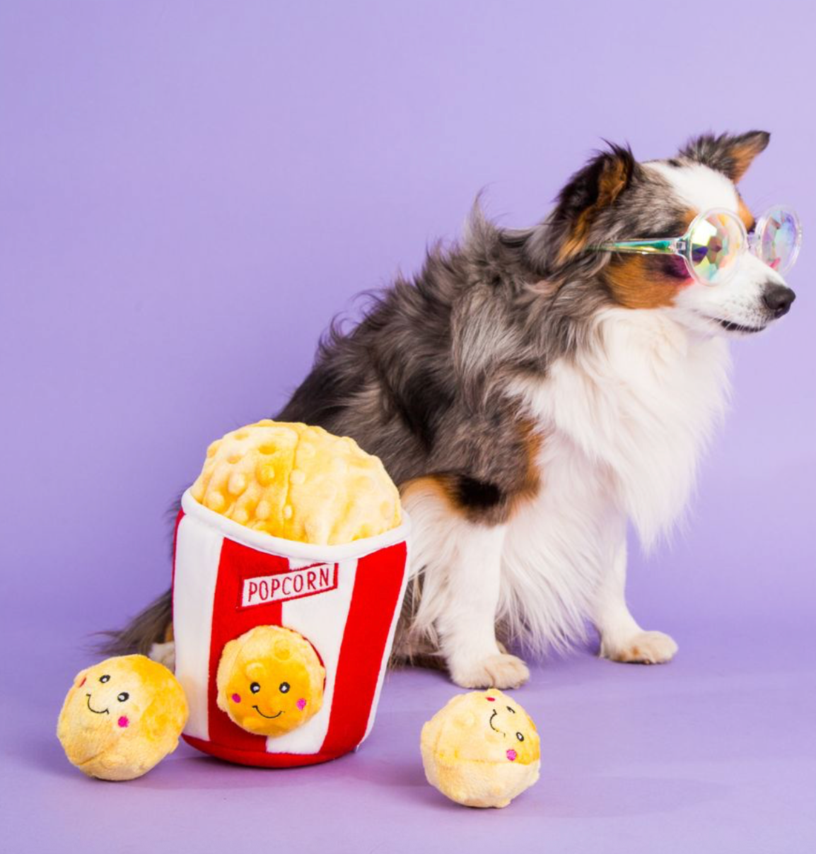 Zippy Burrow - Seau à pop-corn - Jouet pour chien