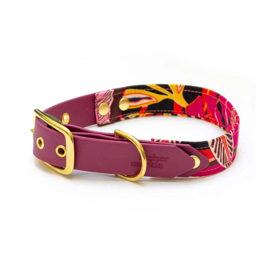 Collier Java