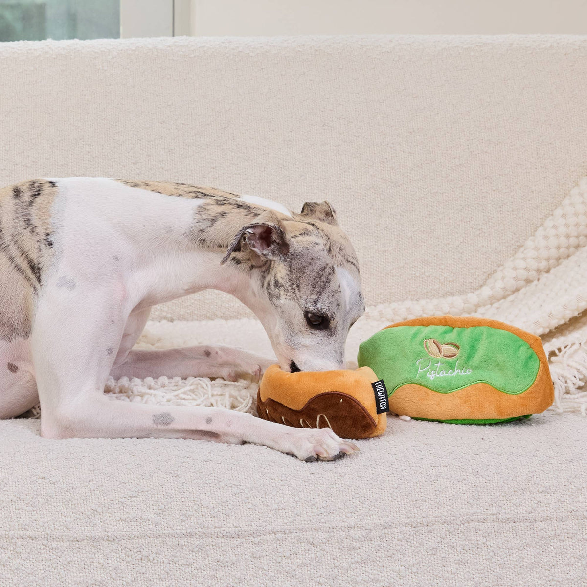 Jouet pour chien CHEWFFON Pistache Éclair — reniflage et froissement