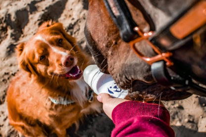 DOGGYROLLER navy - distributeur de friandises liquide pour thérapeutes