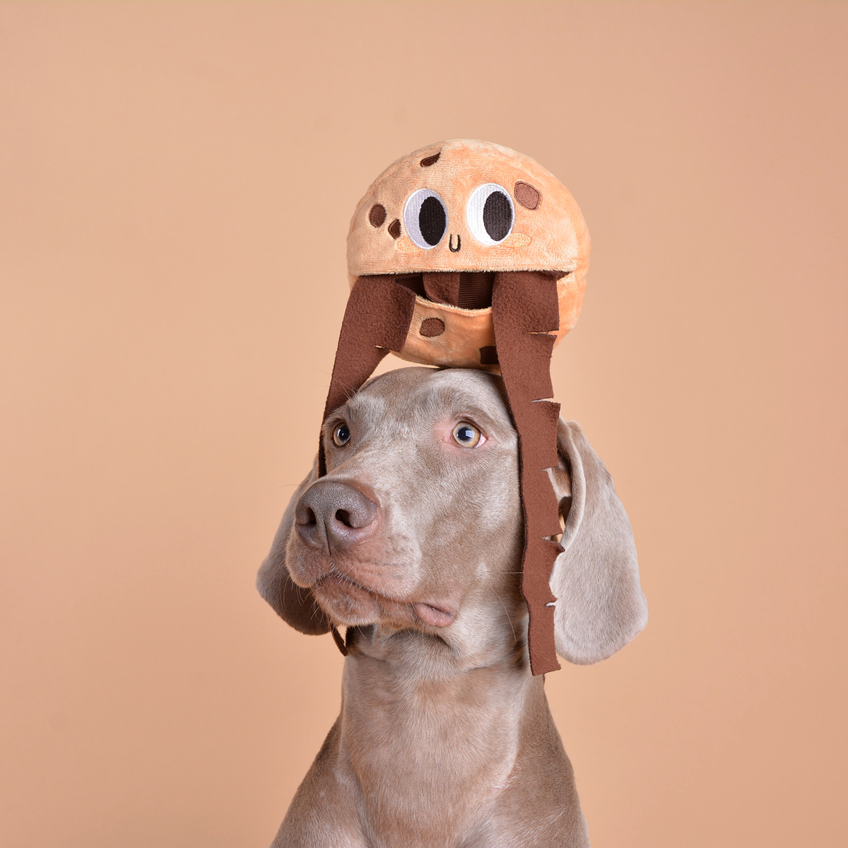 Jouet pour chien à friandises et puzzle doux en forme de biscuit de vacances CHEWFFON