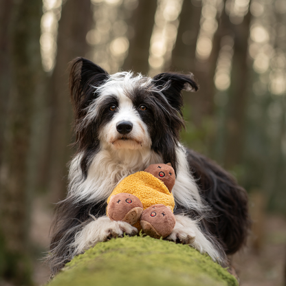 Jouet pour chien à cache-cache avec couinement CHEWFFON Marron Châtaigne