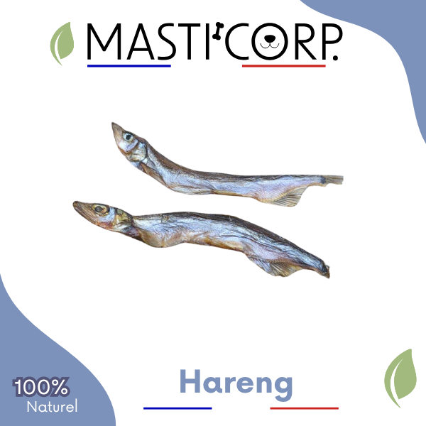 Hareng Sauvage - Récompense Naturelle Chien Friandise