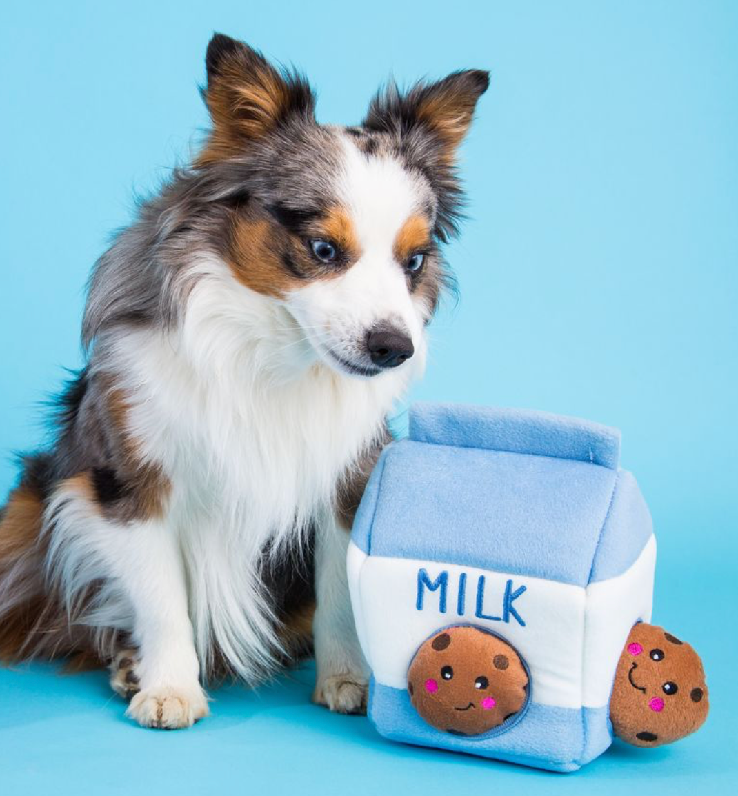 Zippy Burrow - Lait et biscuits - Jouet pour chien