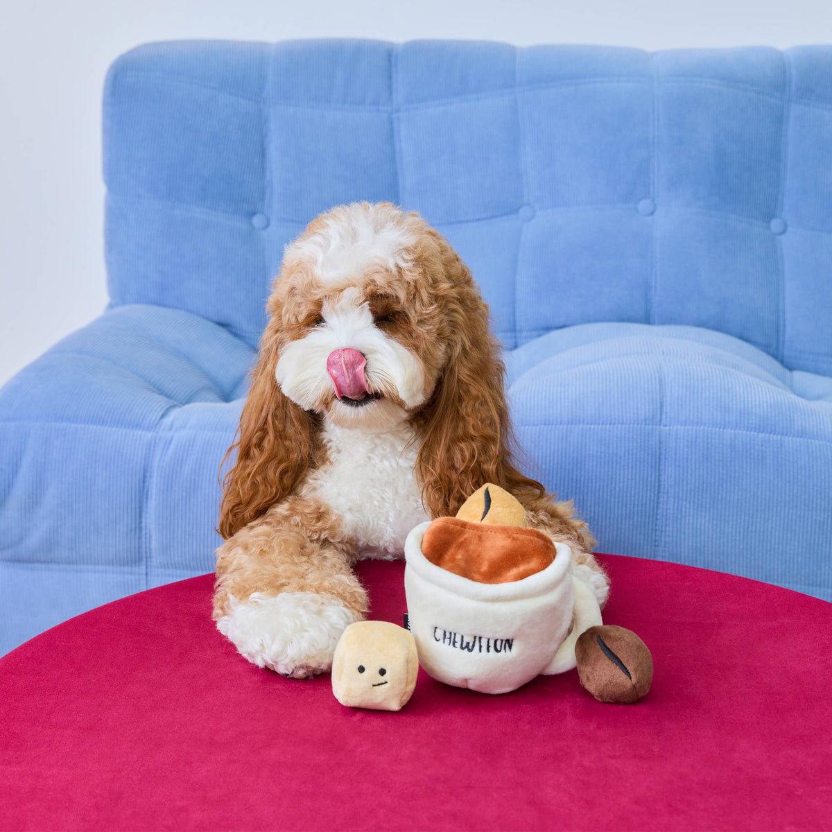 CHEWFFON Jouets pour chiens couineurs Espresso