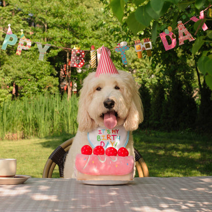 Jouet Puzzle pour Chien Gâteau Roulé à la Fraise CHEWFFON